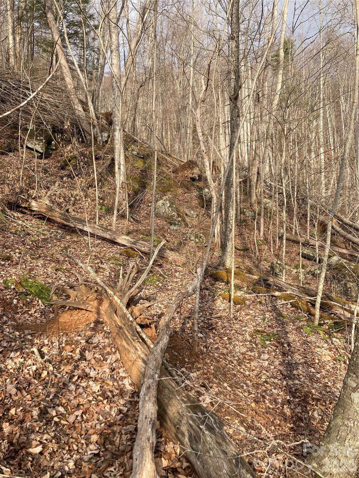 00 Sweet Creek Road Property Photo 28