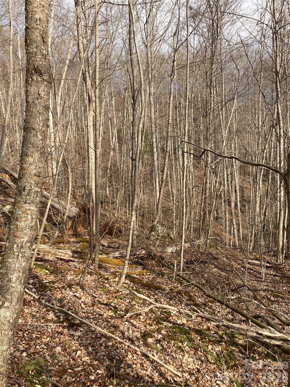 00 Sweet Creek Road Property Photo 29