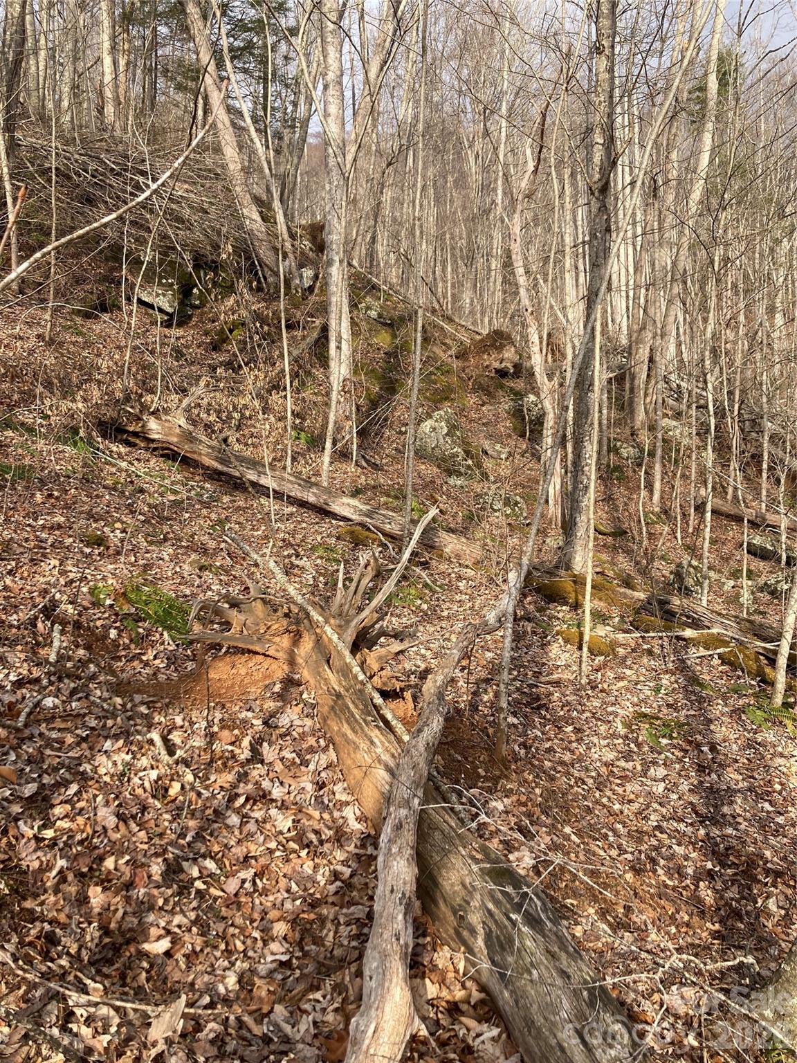 00 Sweet Creek Road Property Photo 30