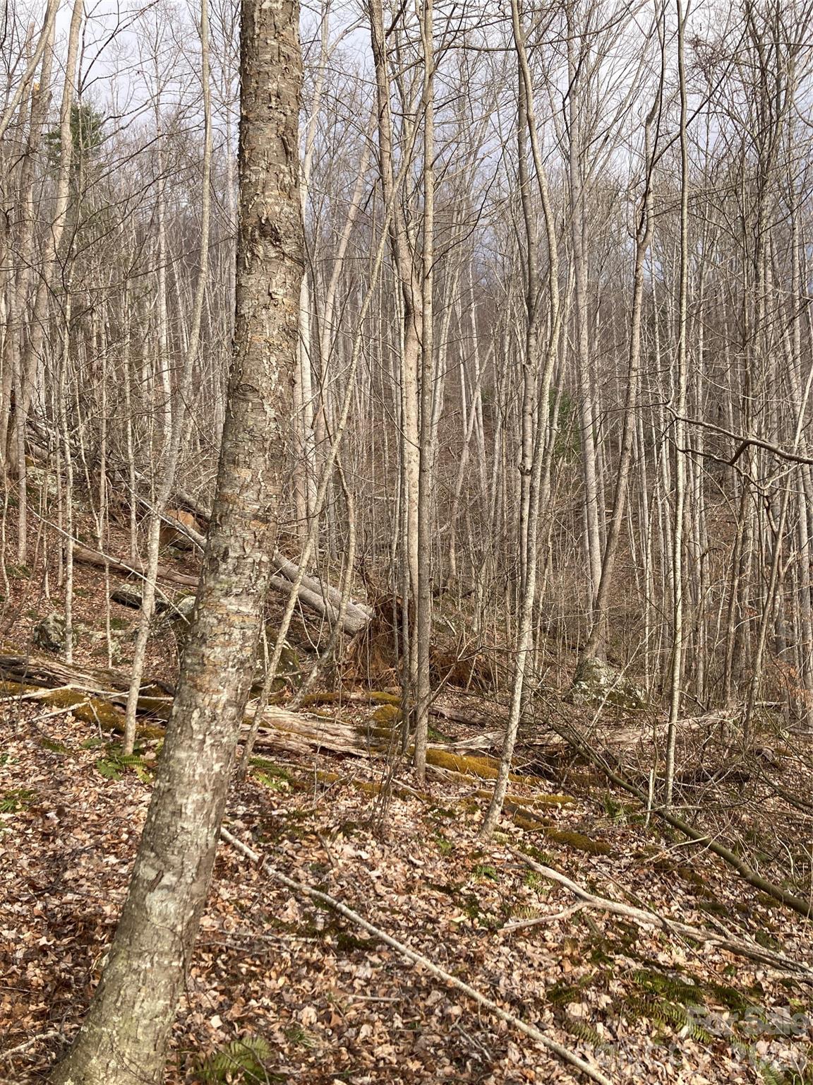 00 Sweet Creek Road Property Photo 32
