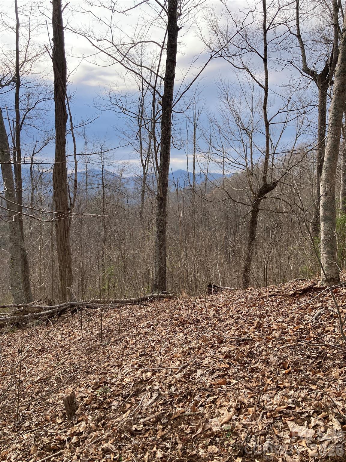 00 Sweet Creek Road Property Photo 35