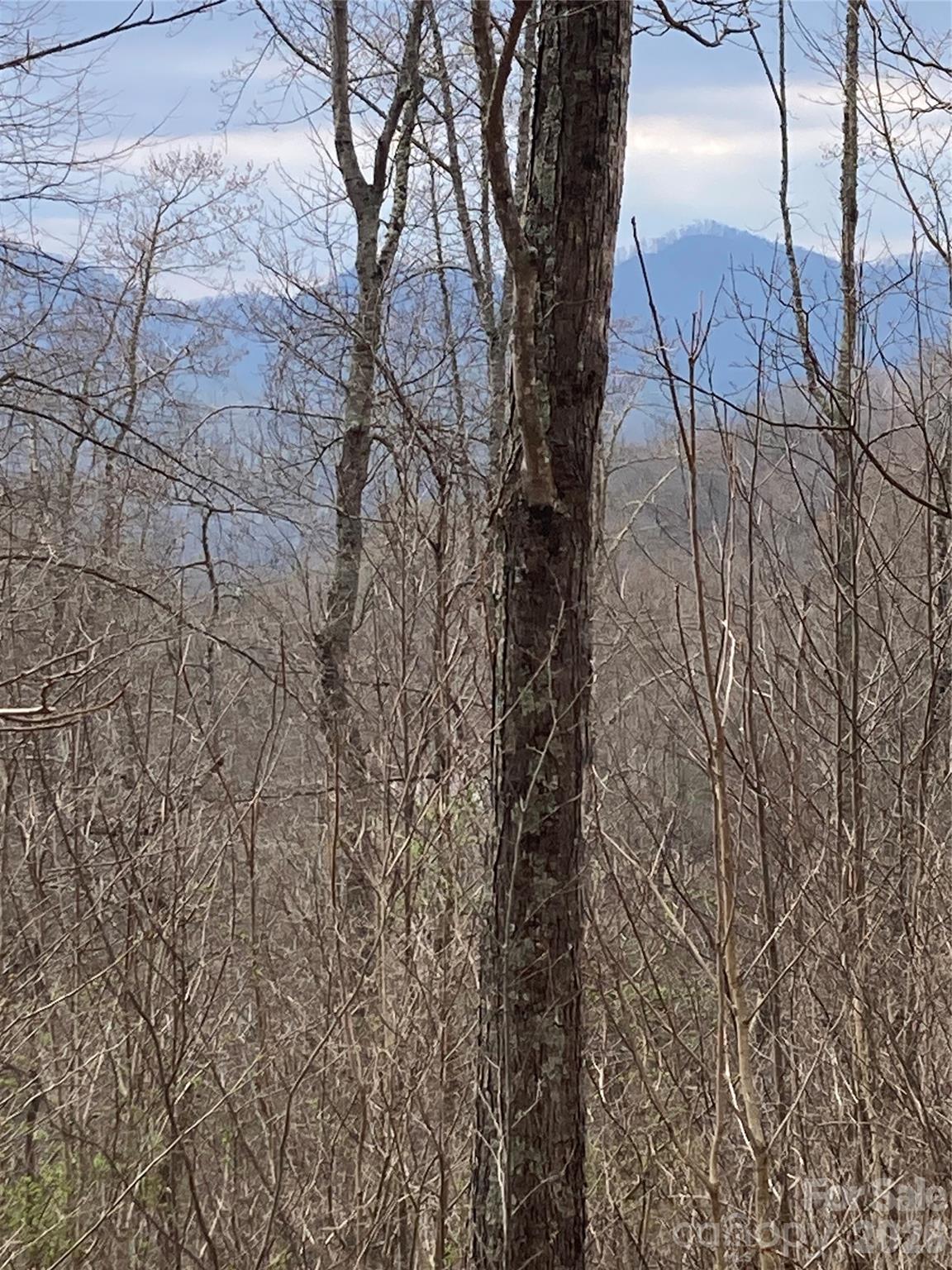 00 Sweet Creek Road Property Photo 36