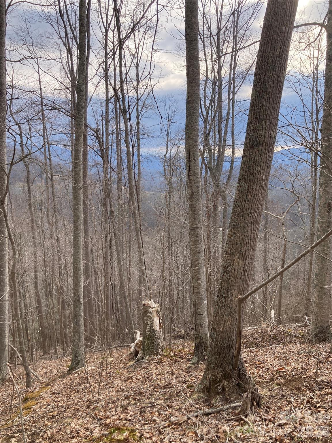 00 Sweet Creek Road Property Photo 37