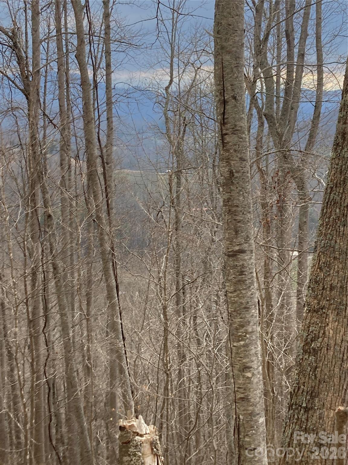 00 Sweet Creek Road Property Photo 38