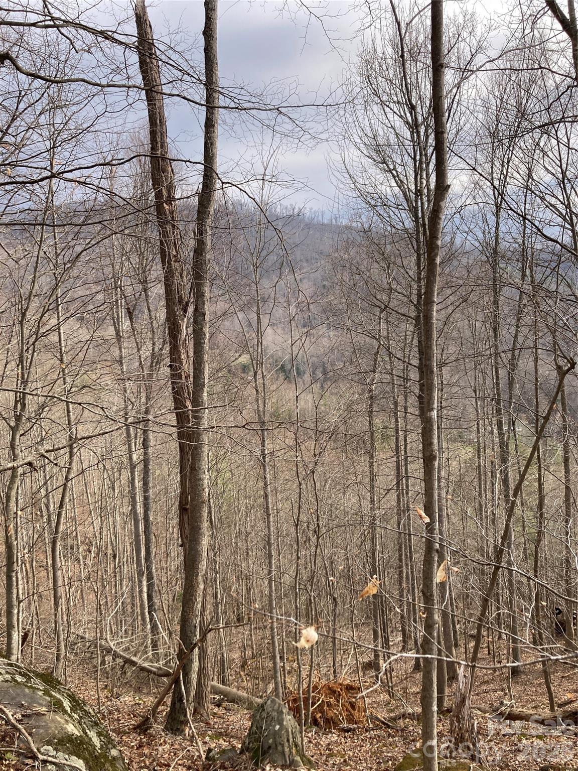 00 Sweet Creek Road Property Photo 43