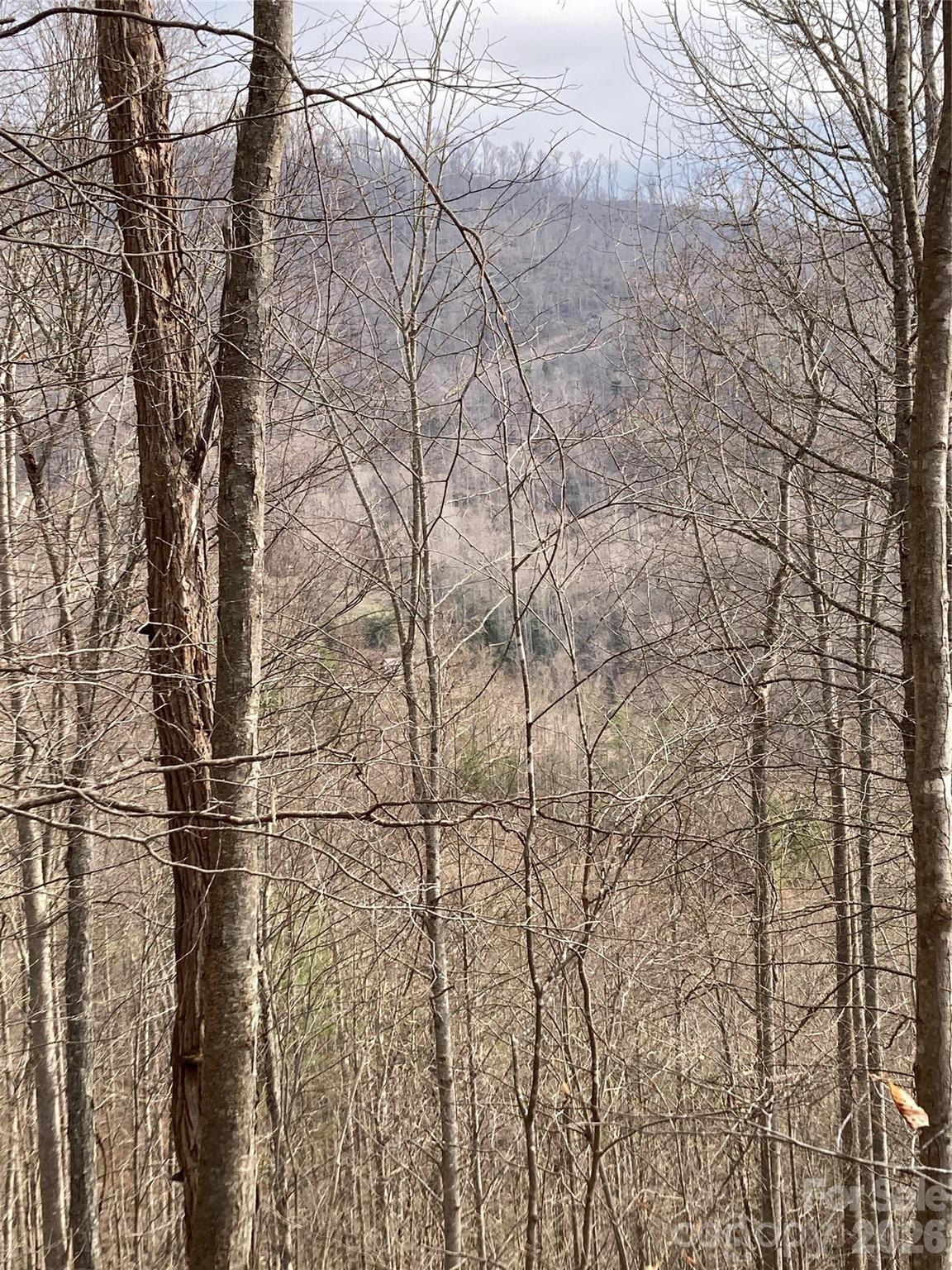 00 Sweet Creek Road Property Photo 44