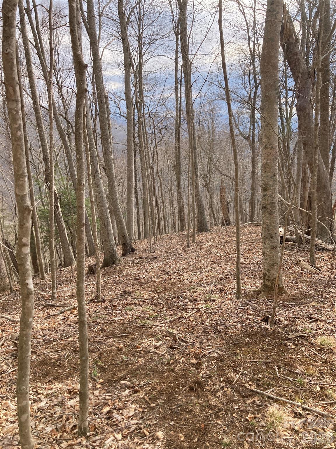 00 Sweet Creek Road Property Photo 48