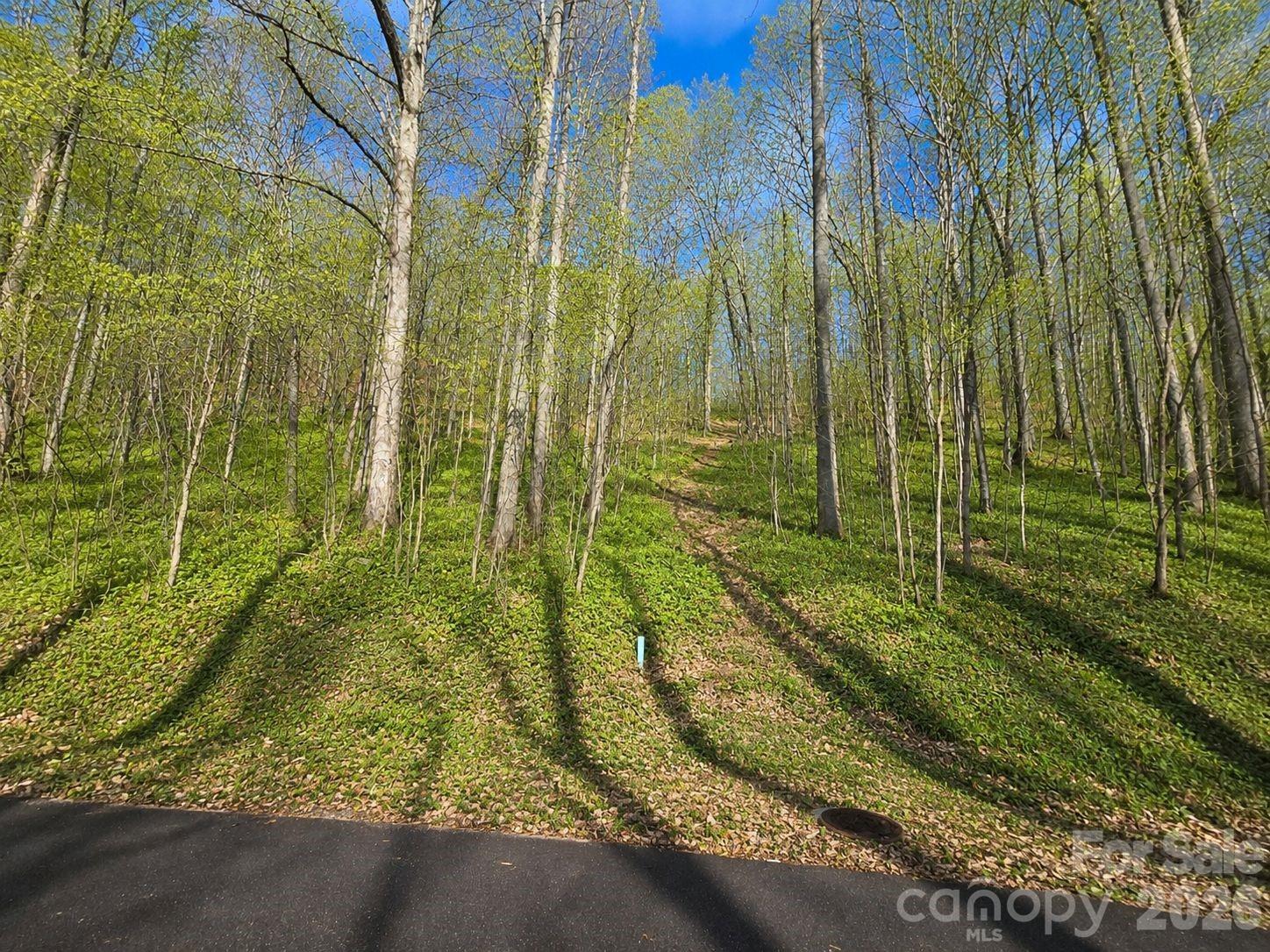 455 Mountain Watch Drive 16 Property Photo 1