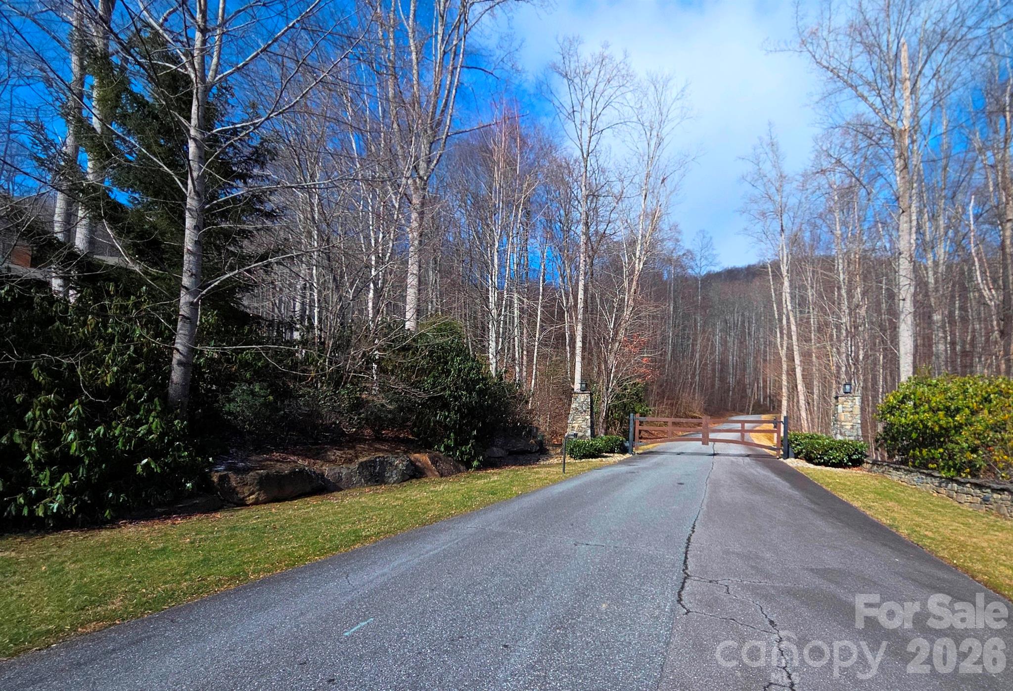 455 Mountain Watch Drive 16 Property Photo 18