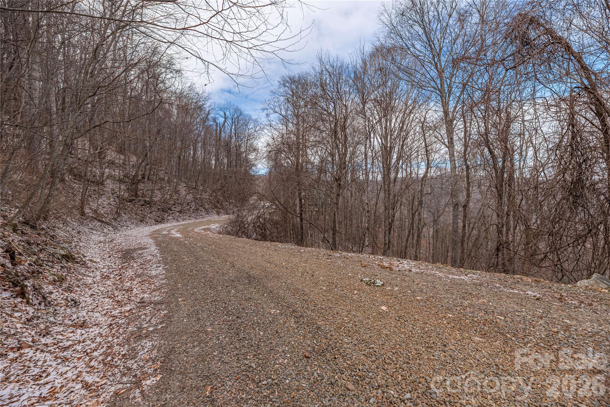 00 Curry Comb Trail 516 Property Photo 4