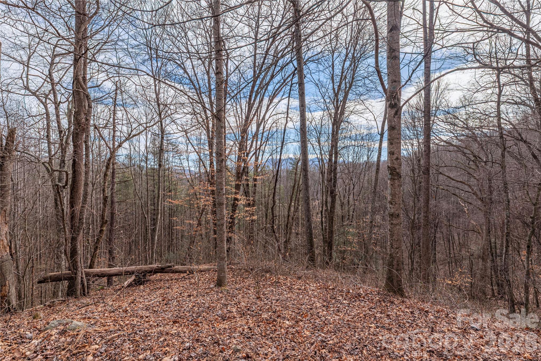 00 Point Of View Drive 201 Property Photo 5