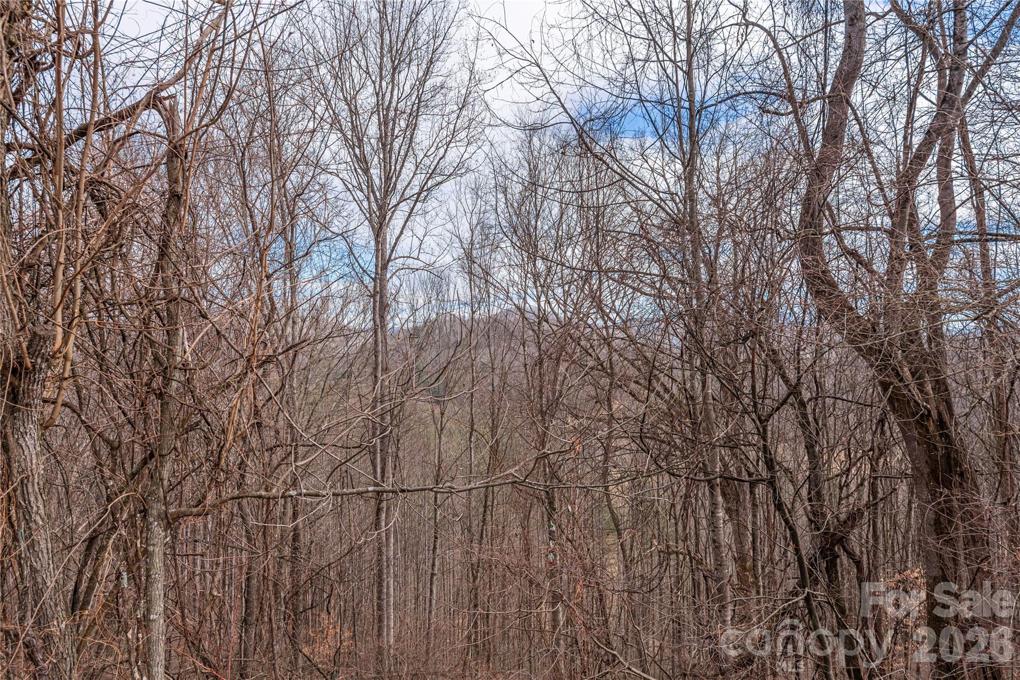 00 Point Of View Drive 201 Property Photo 7