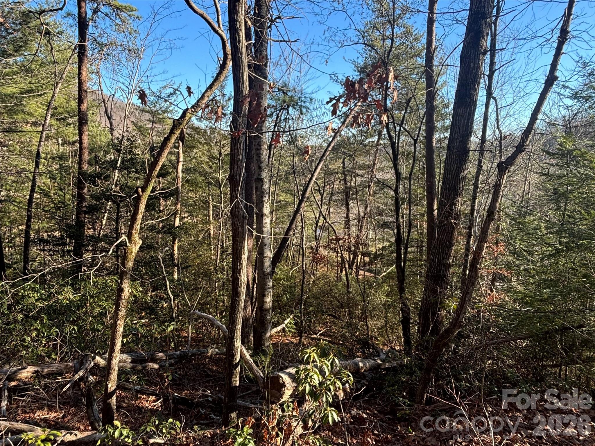 Lot 19 Nicklaus Lane 19 Property Photo 2