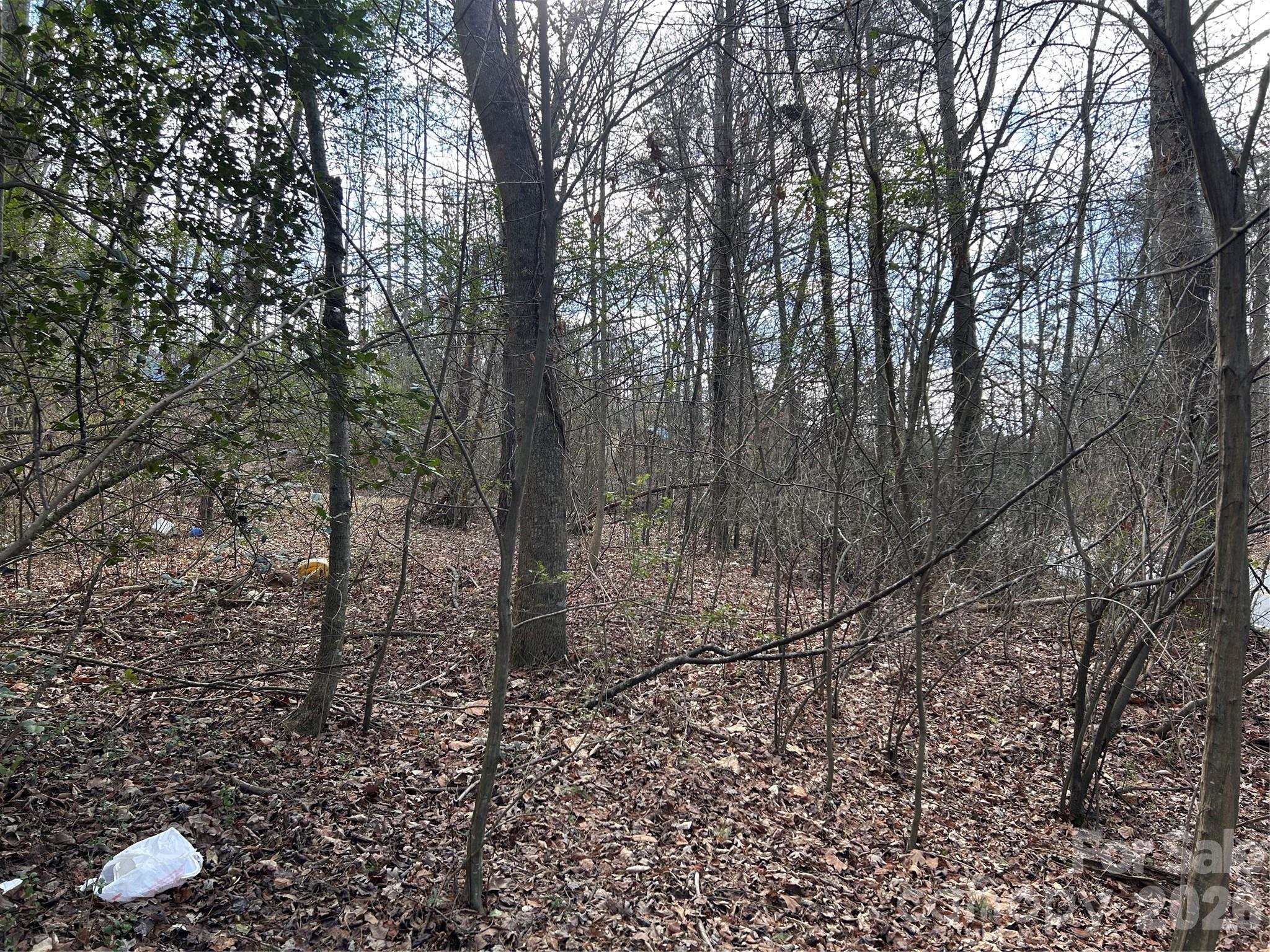 301 Burke Street Property Photo 6