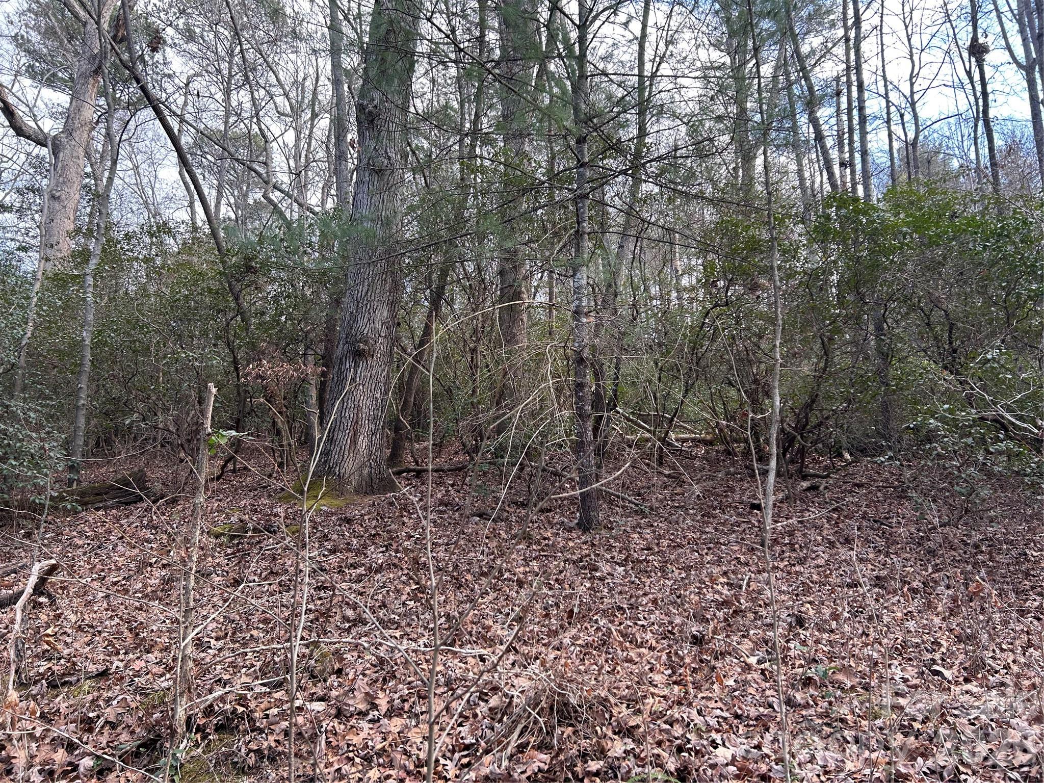 301 Burke Street Property Photo 9