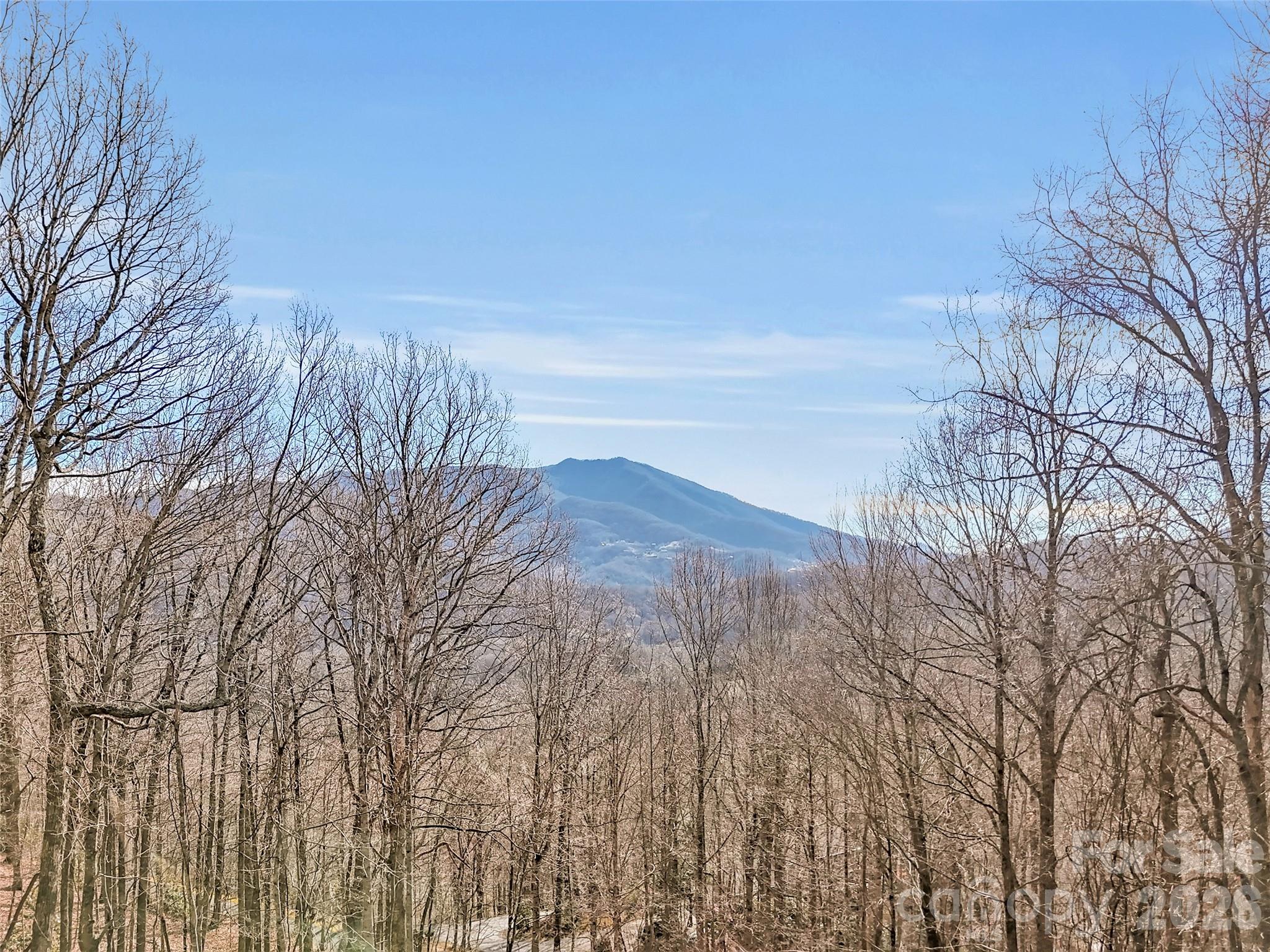371 Falcon Ridge Drive Property Photo 44