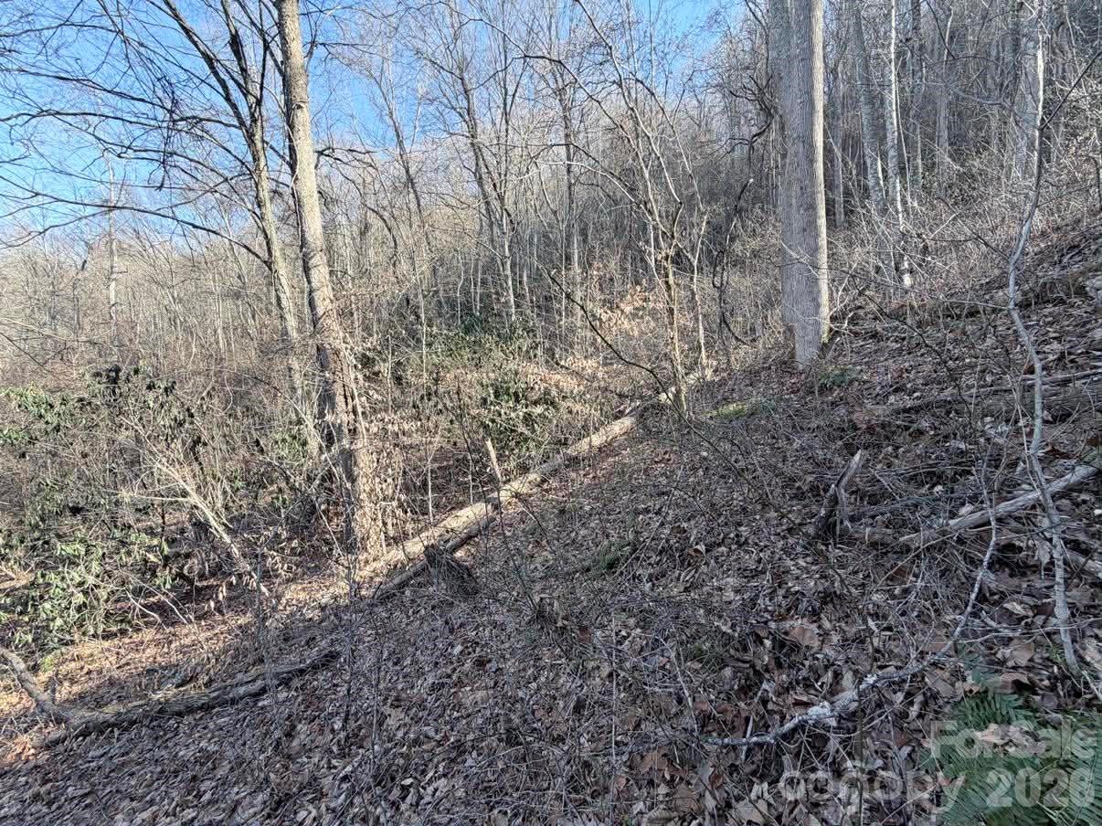 76 View Ridge Parkway 7 Property Photo 5
