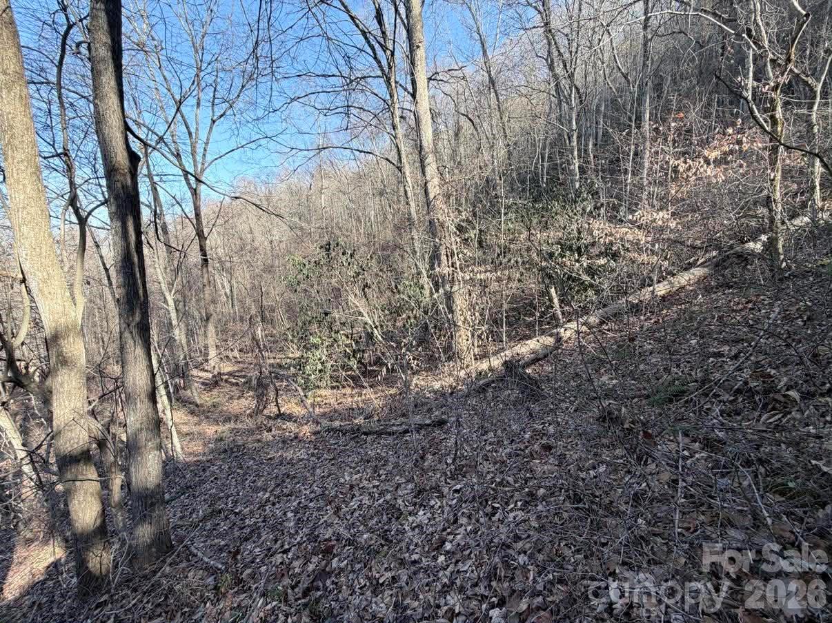 76 View Ridge Parkway 7 Property Photo 6