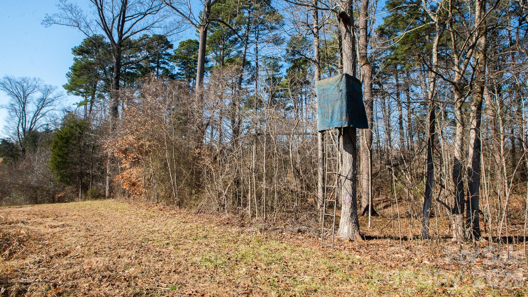 Tbd Upright Road Property Photo 9