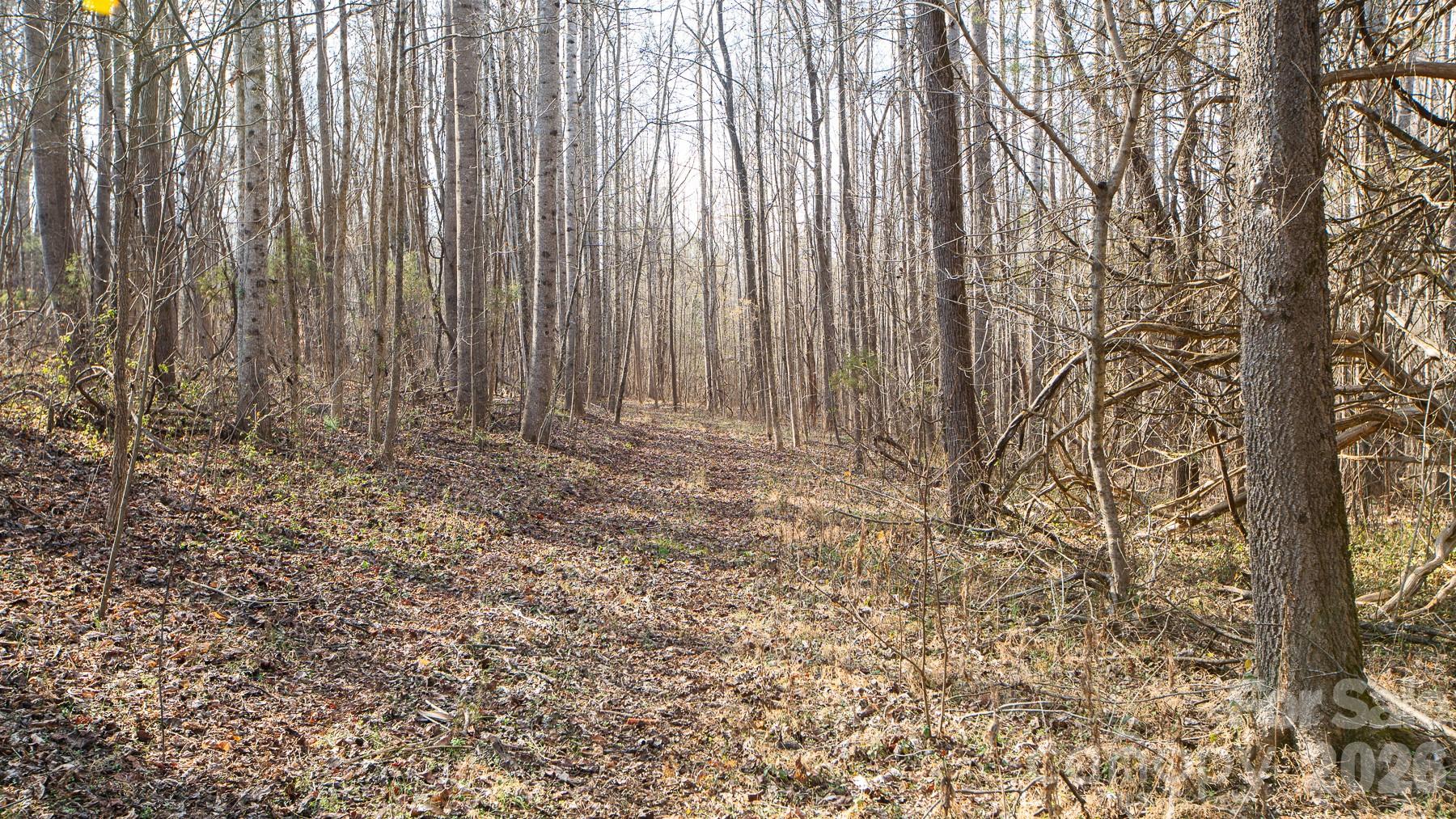 Tbd Upright Road Property Photo 11