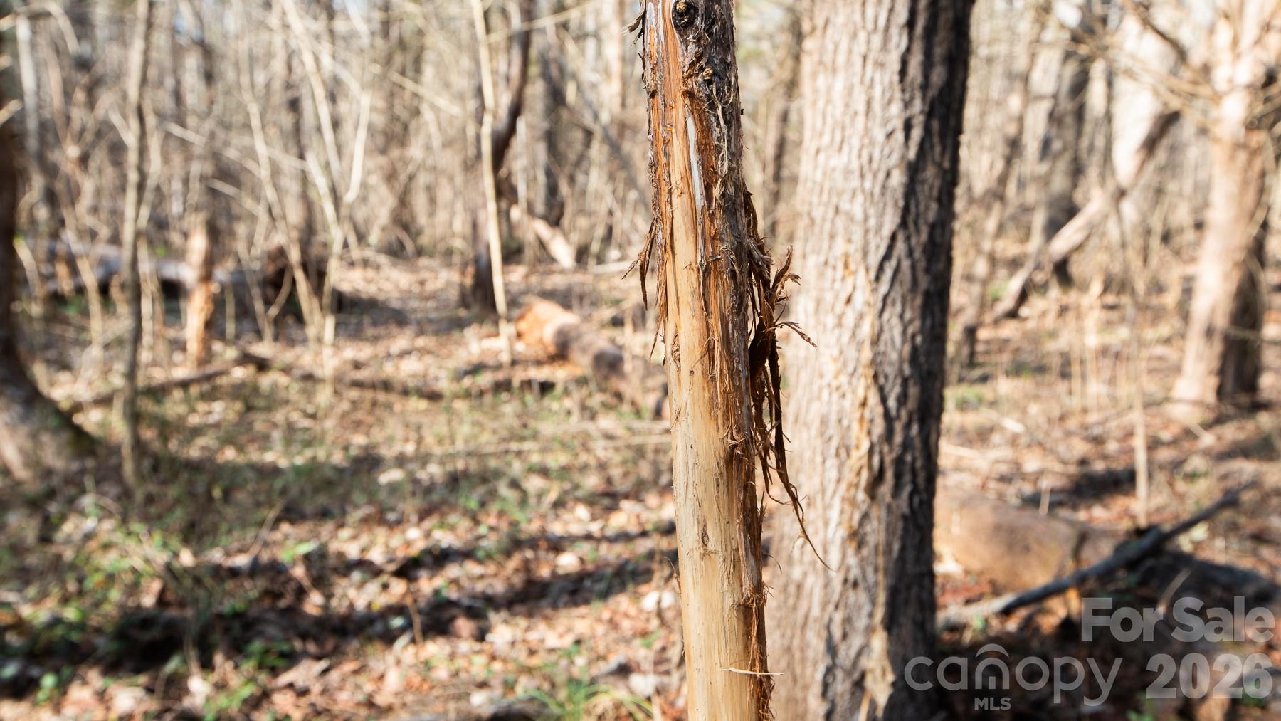 Tbd Upright Road Property Photo 14