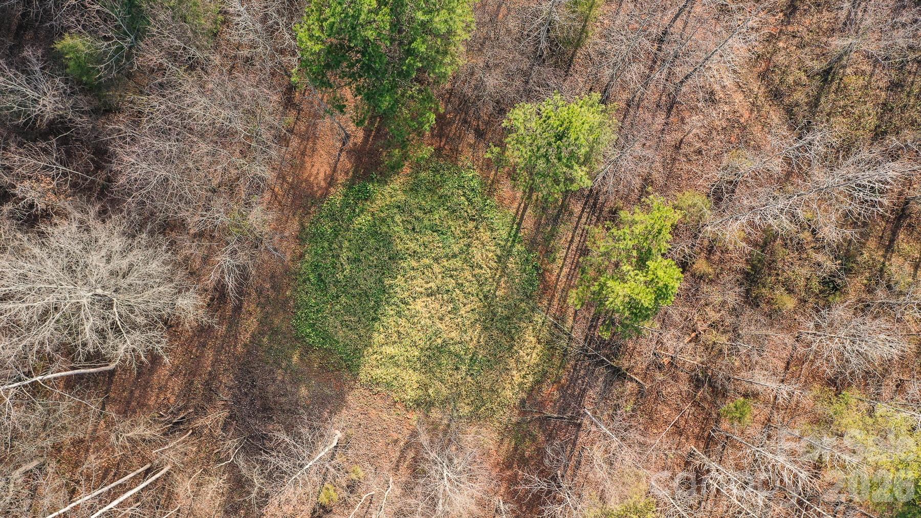 Tbd Upright Road Property Photo 24
