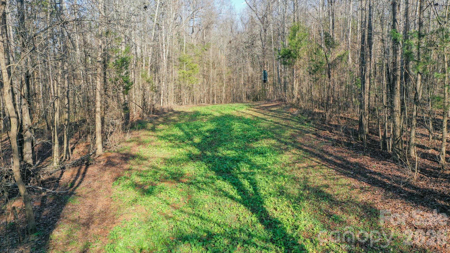 Tbd Upright Road Property Photo 26