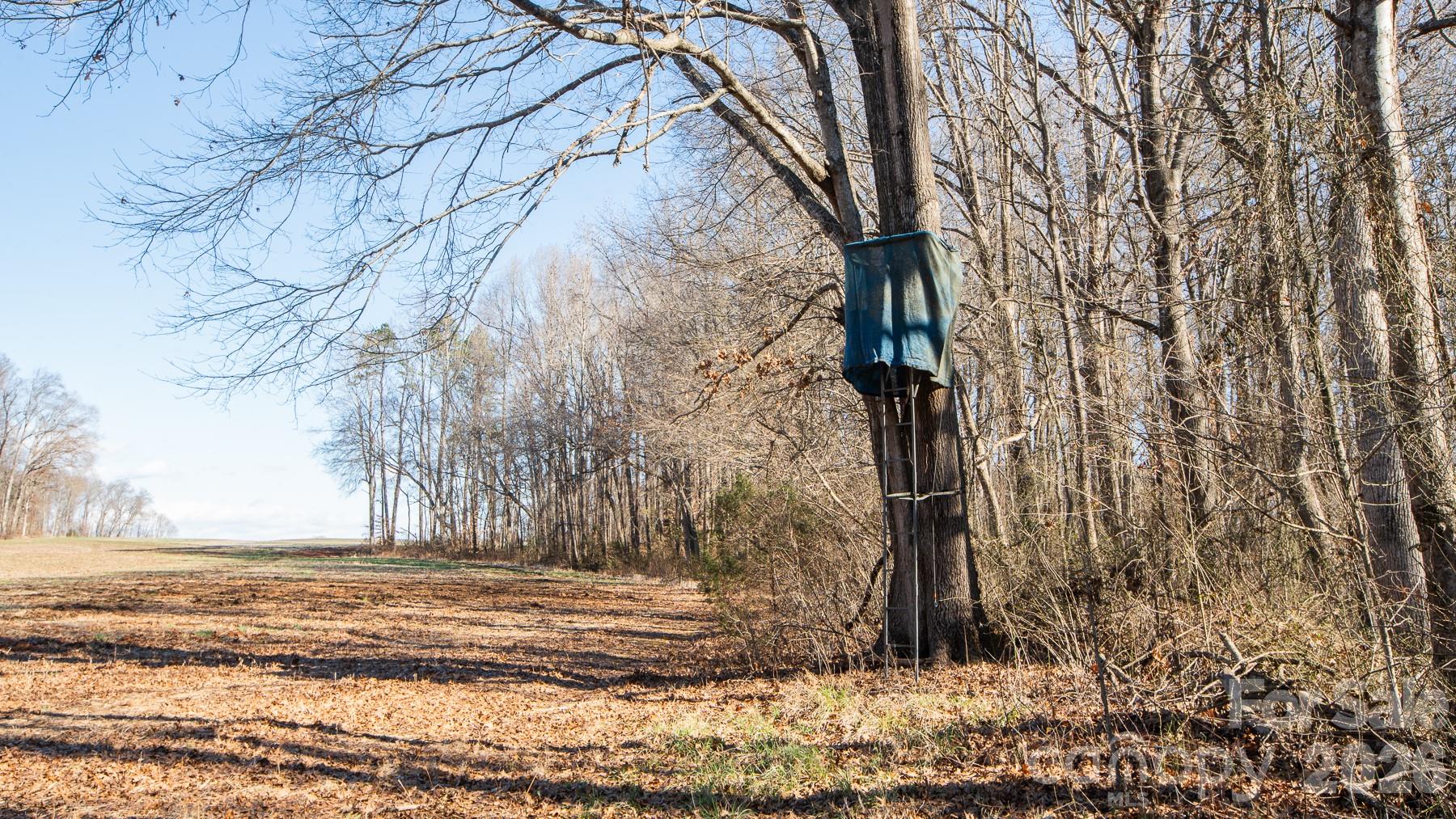 Tbd Upright Road Property Photo 31