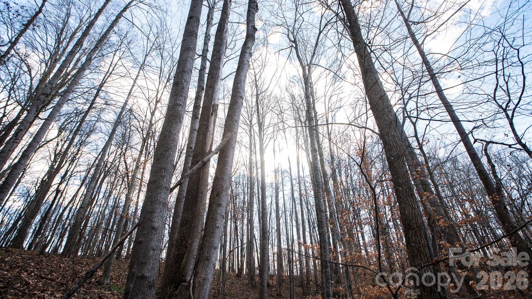 Tbd Upright Road Property Photo 32