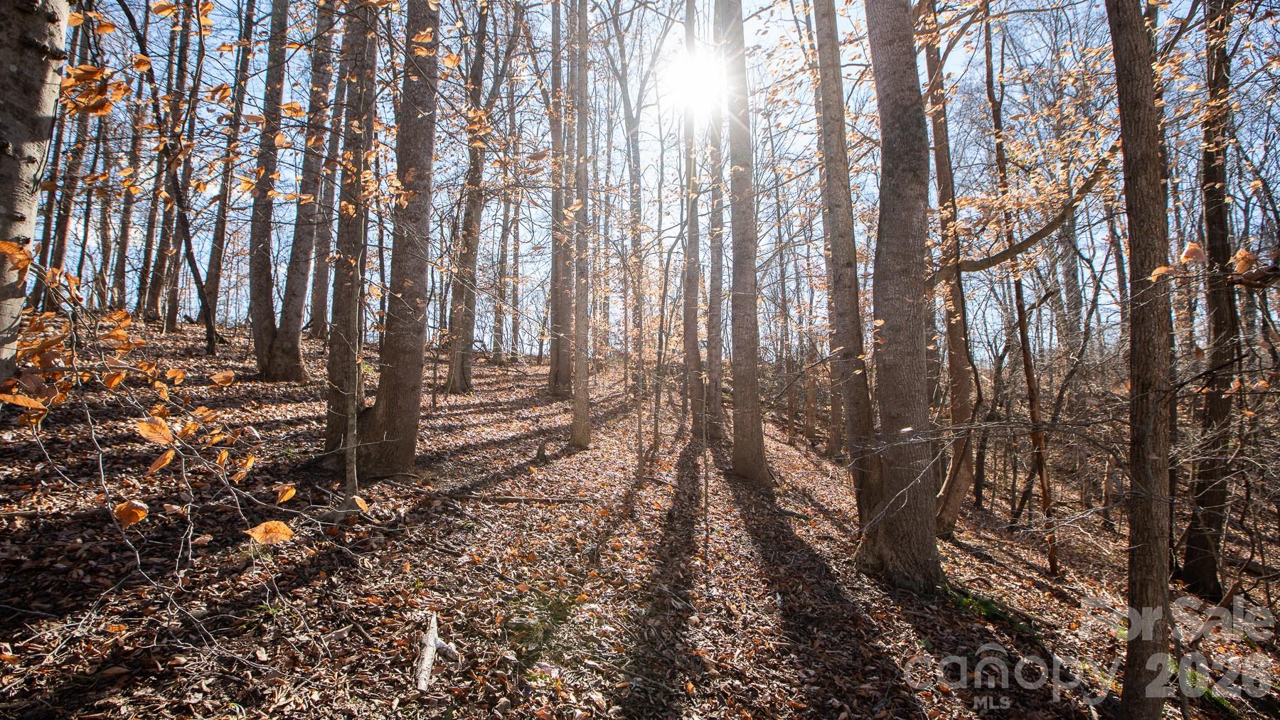 Tbd Upright Road Property Photo 33
