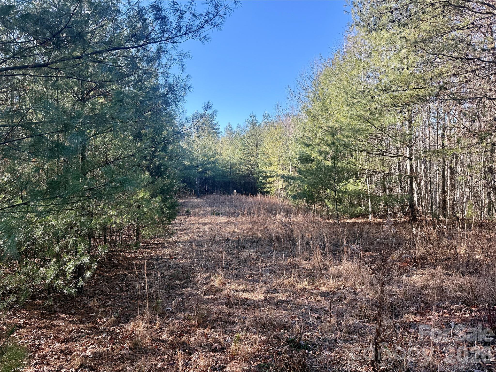 2095 Hitching Post Trail G45 Property Photo 1