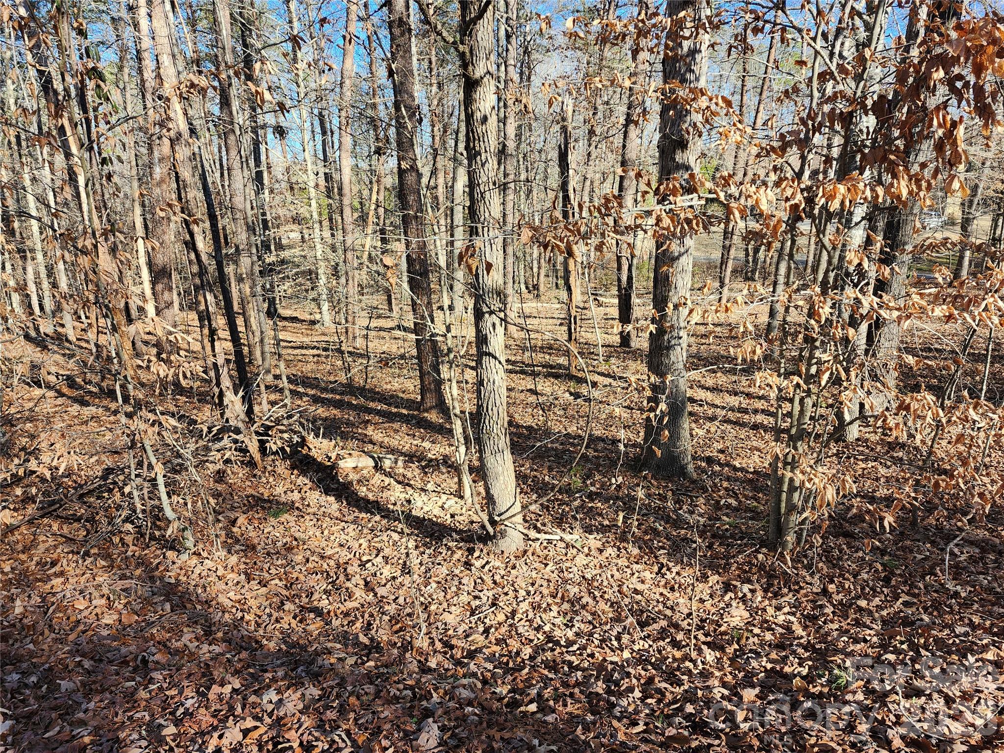 0000 Forest Ridge Road 22 Property Photo 1