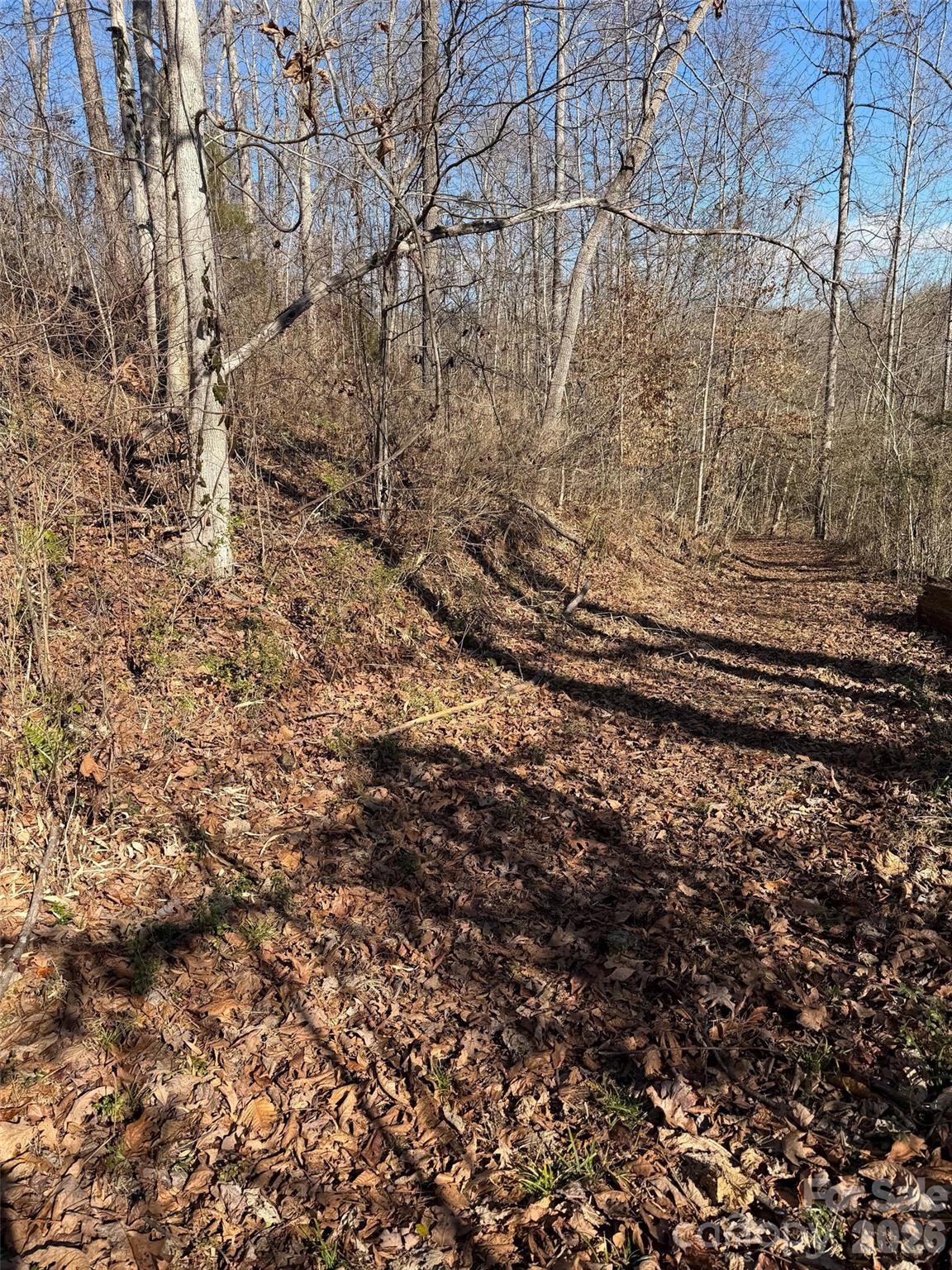 000 E Rambling Creek Road 11 Property Photo 1