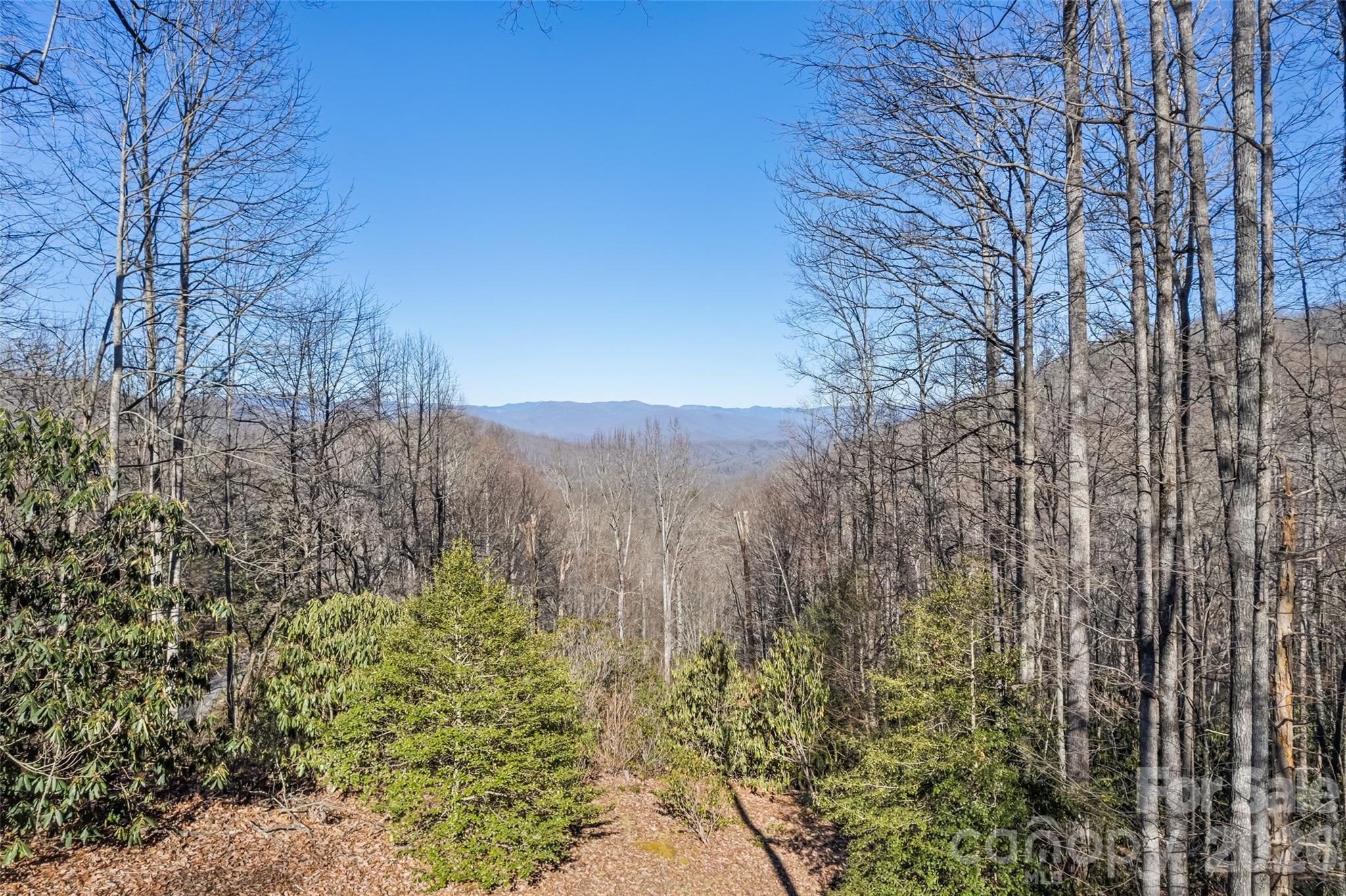 831 Forest Run Road Property Photo 7
