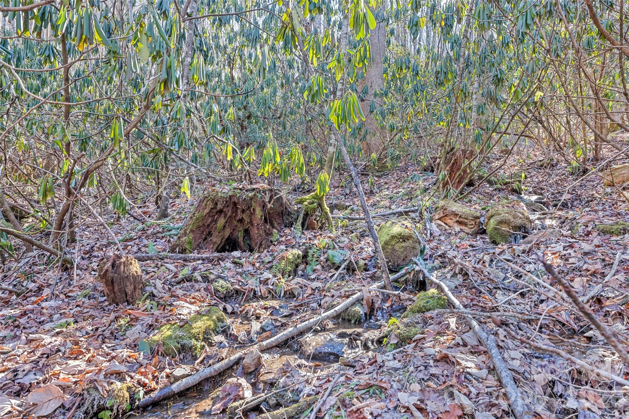 831 Forest Run Road Property Photo 31