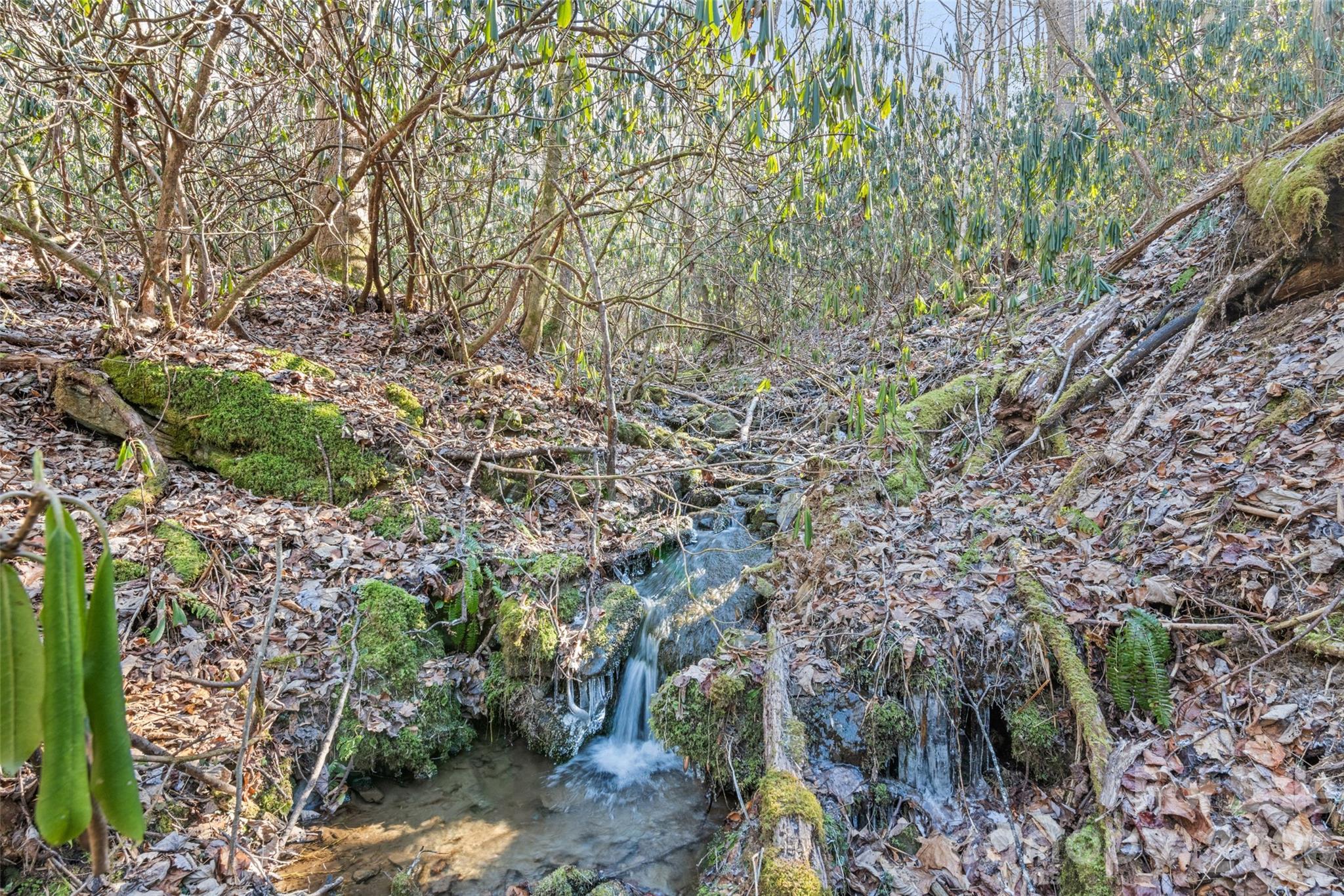 831 Forest Run Road Property Photo 33