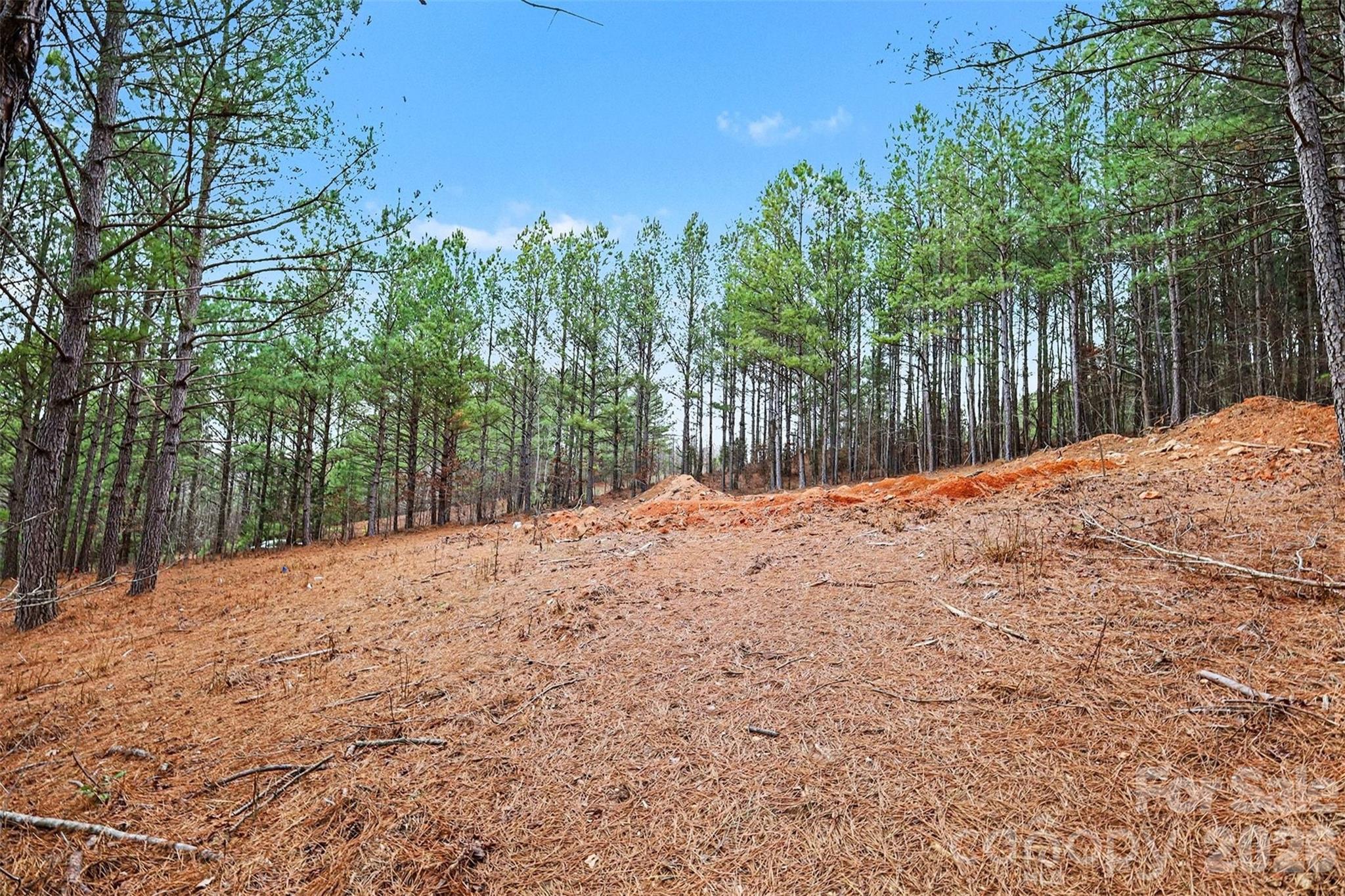 140 Riverview Drive Property Photo 14