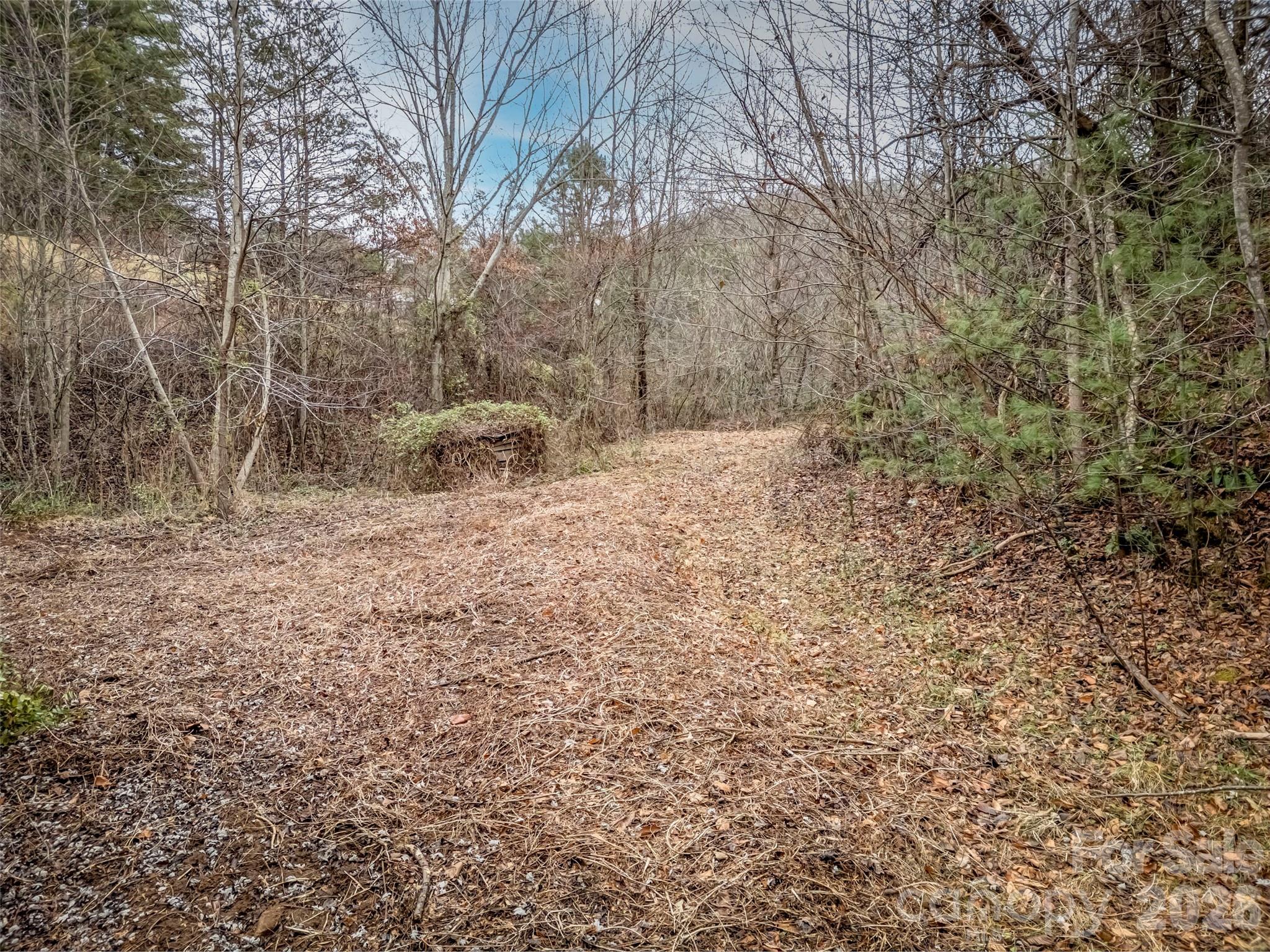 896 Newfound Road Property Photo 4