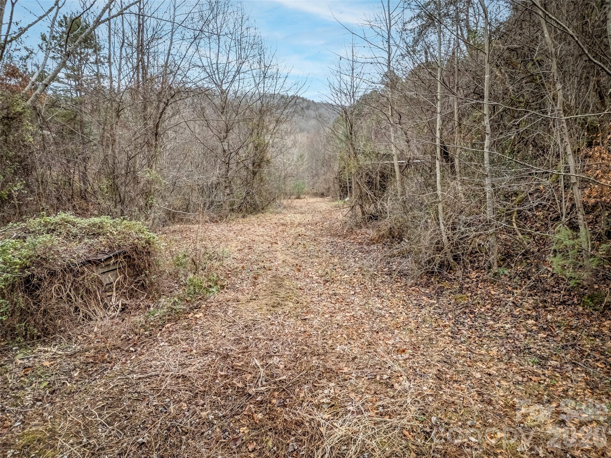 896 Newfound Road Property Photo 5