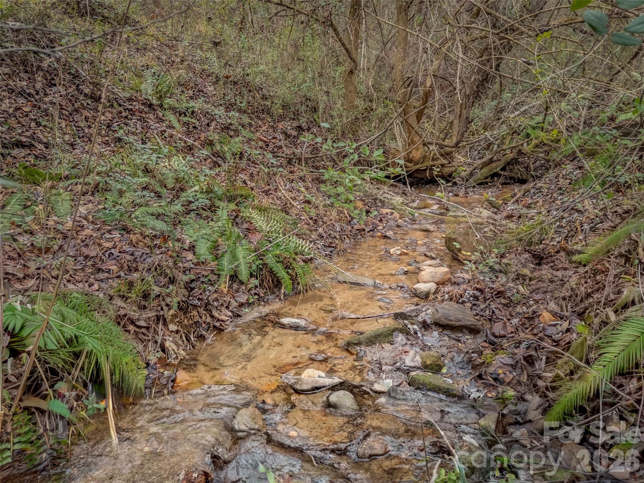 896 Newfound Road Property Photo 20