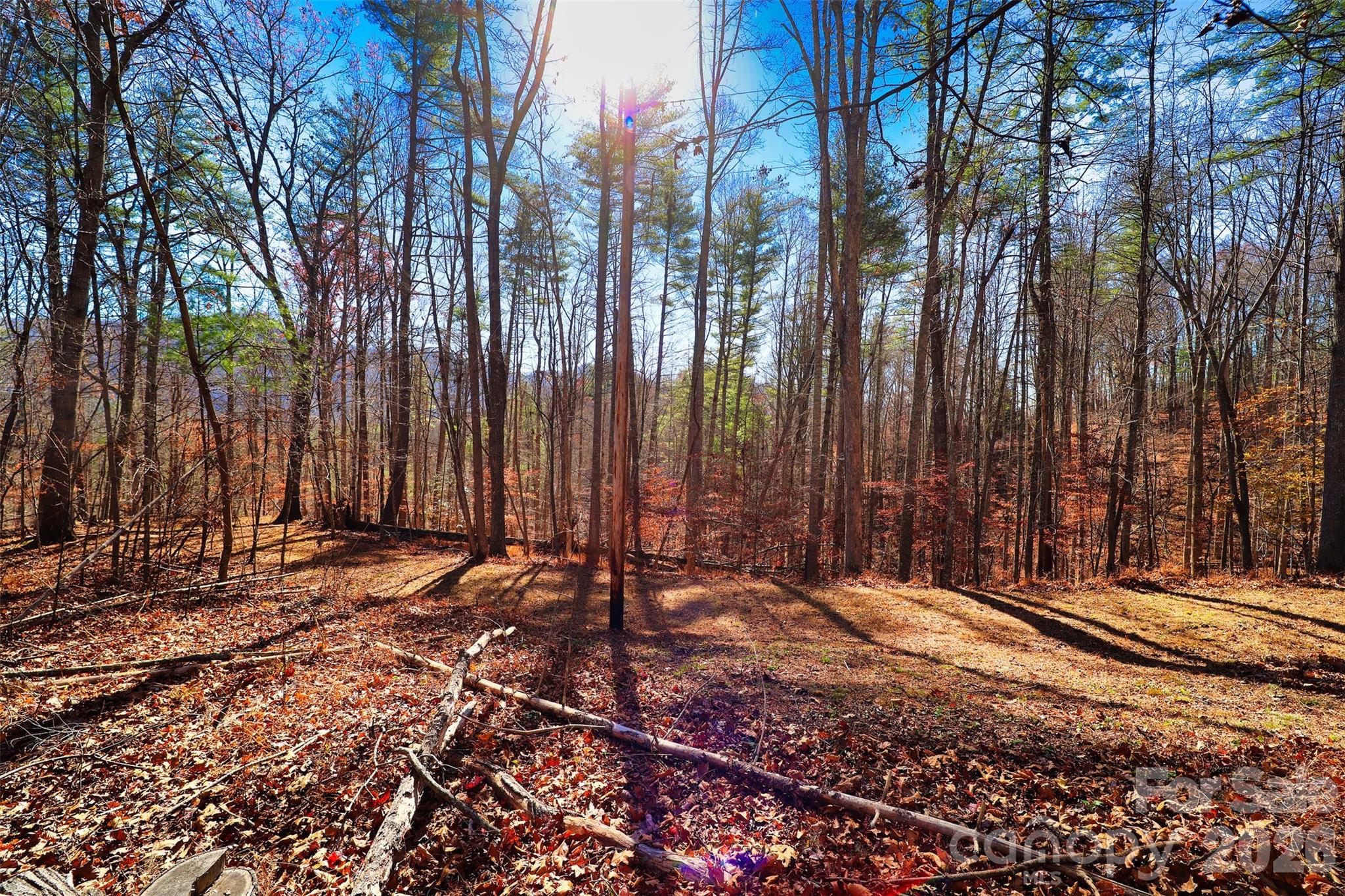 Tbd Rocking Horse Trail Property Photo 1