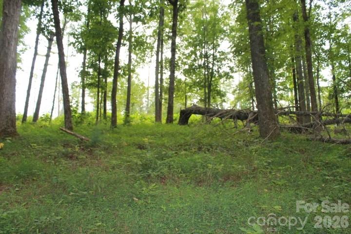 374 E Settings Boulevard Property Photo 3