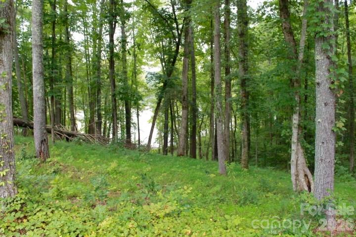 374 E Settings Boulevard Property Photo 4