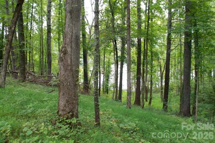 374 E Settings Boulevard Property Photo 5