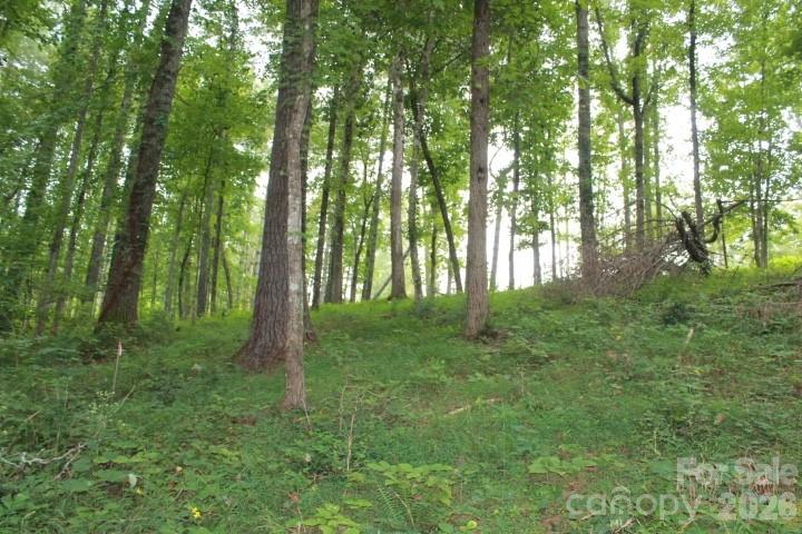 374 E Settings Boulevard Property Photo 6