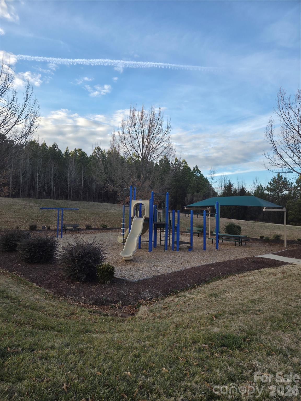 10229 Snowbell Court Property Photo 46