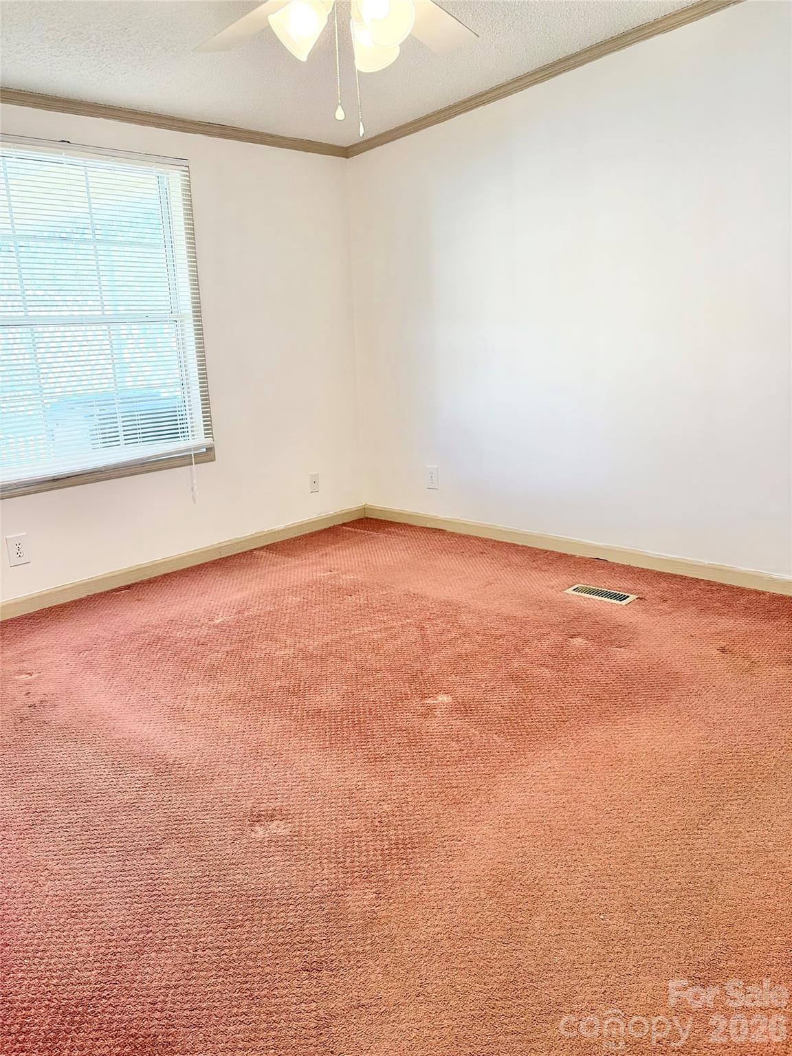 261 White Ash Circle Property Photo 12