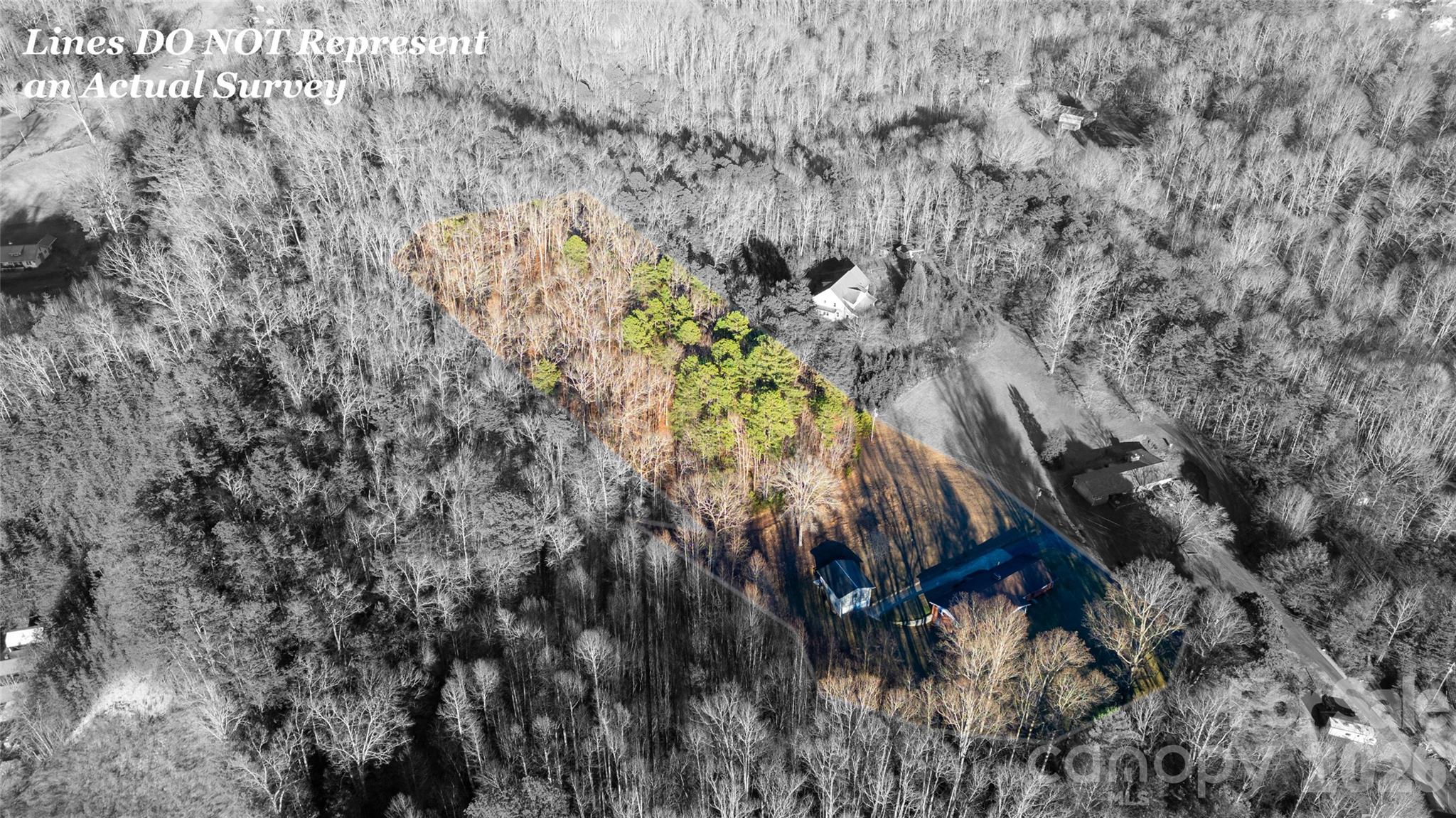 133 Harmony Hill Property Photo 7