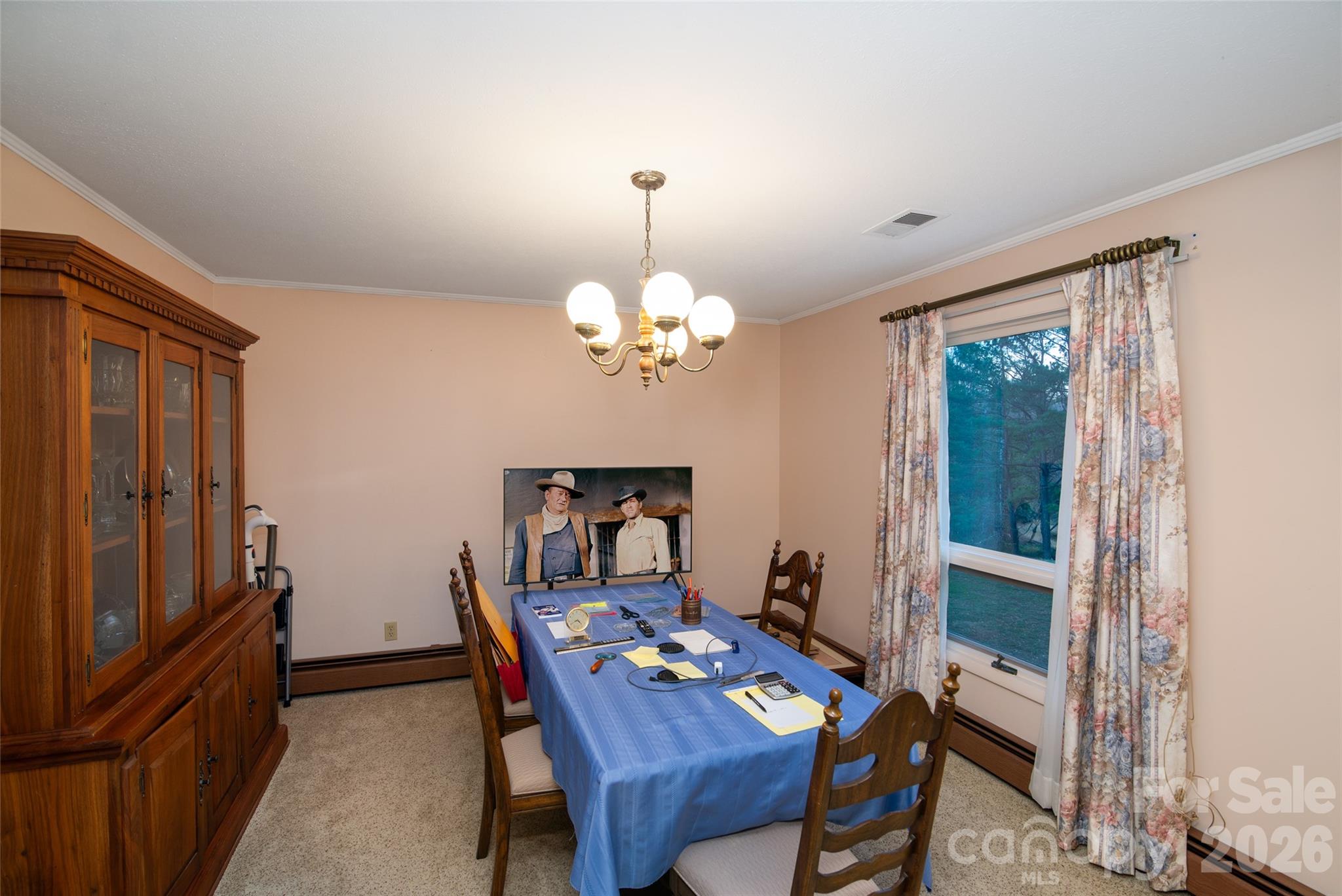 133 Harmony Hill Property Photo 16
