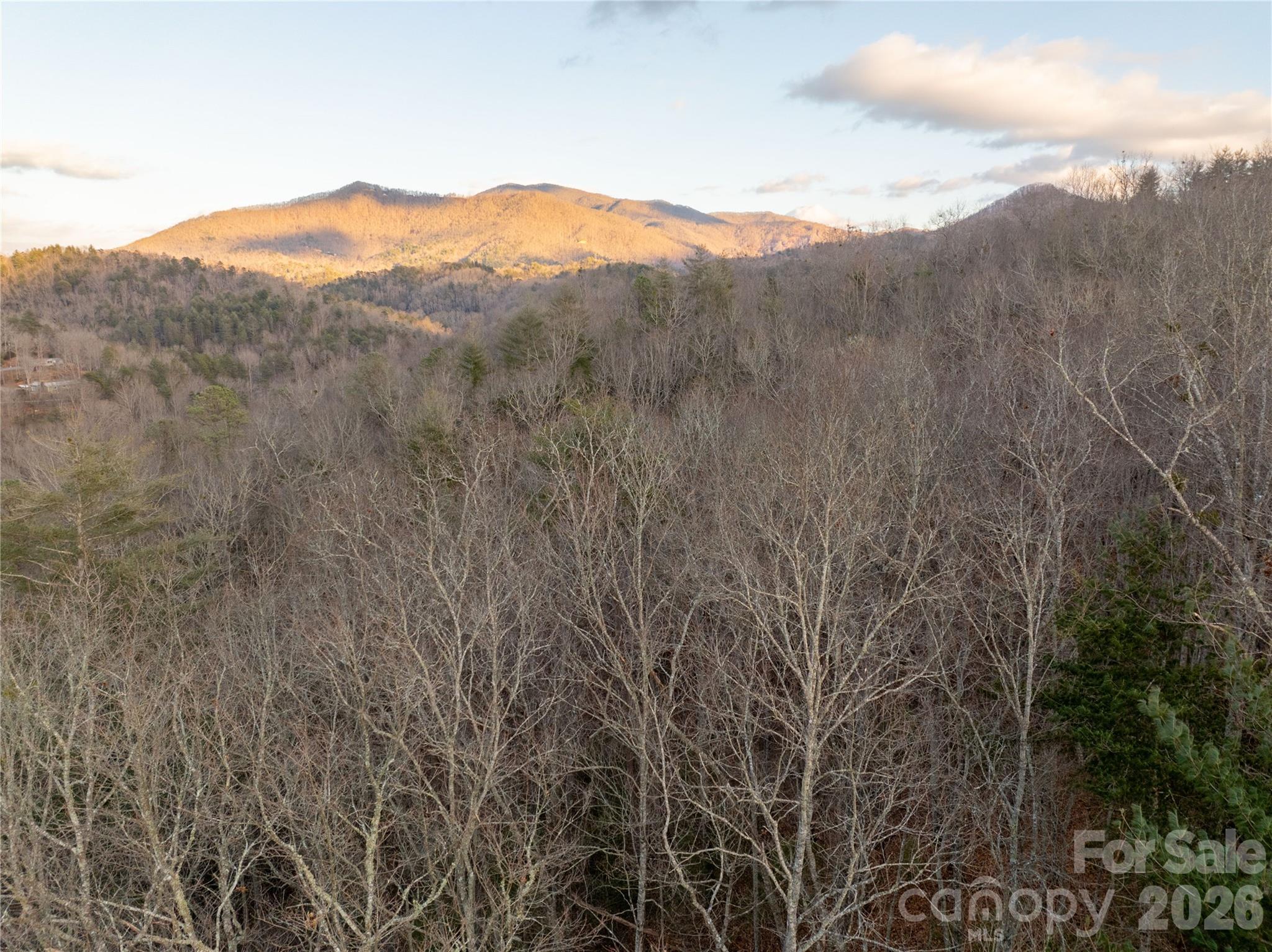 9180 Lower Alarka Road Property Photo 2
